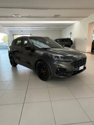 Ford Kuga 1.5 EcoBlue 120 CV aut. 2WD ST-Line X Design del 2023 usata a Modena