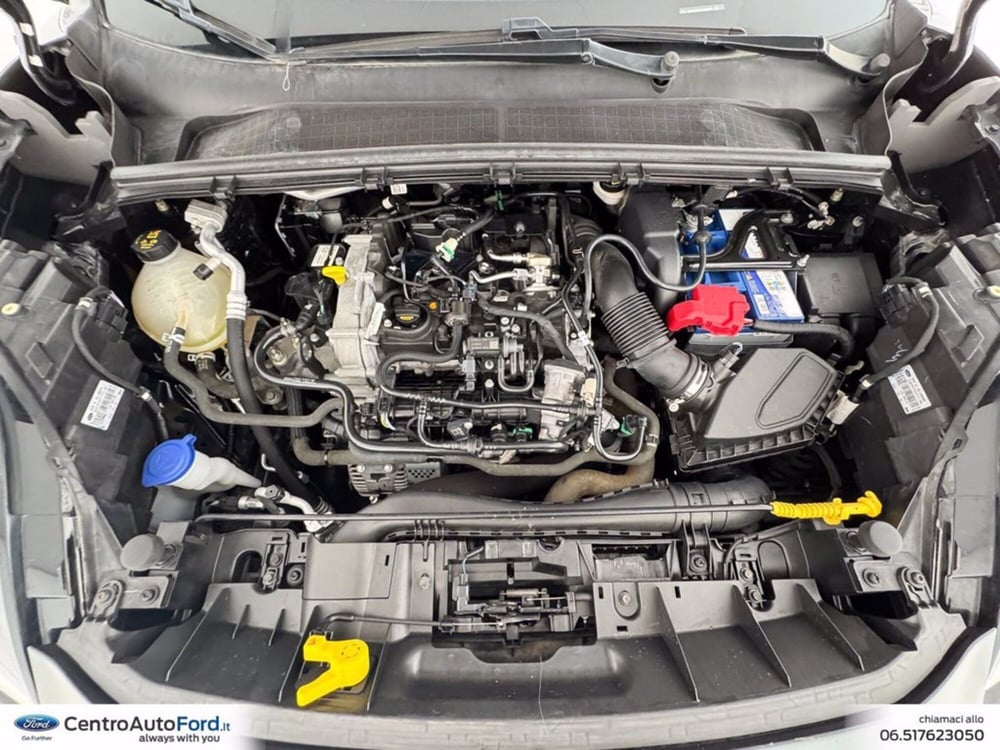 Ford Puma usata a Roma (12)