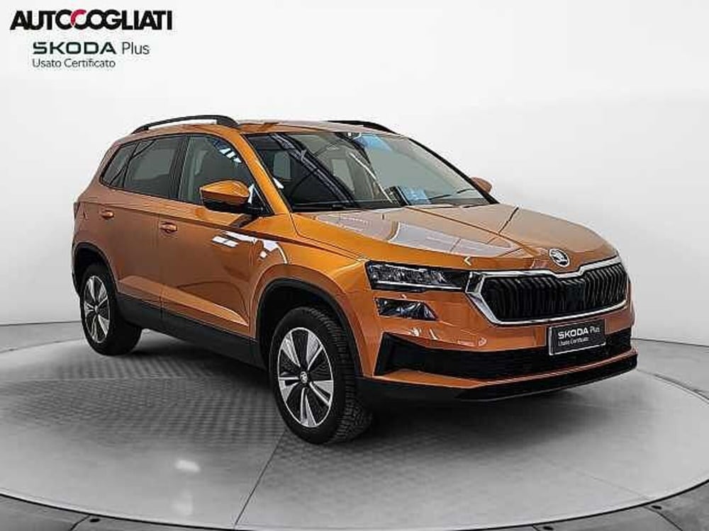 Skoda Karoq usata a Lecco (3)