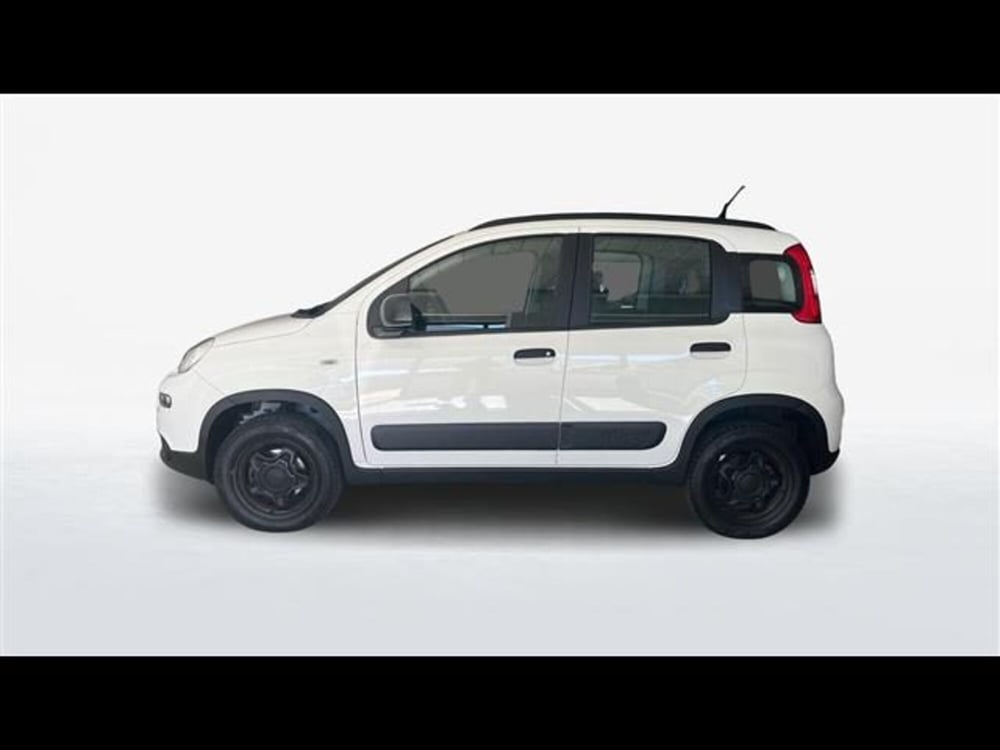 Fiat Panda usata a Firenze (2)