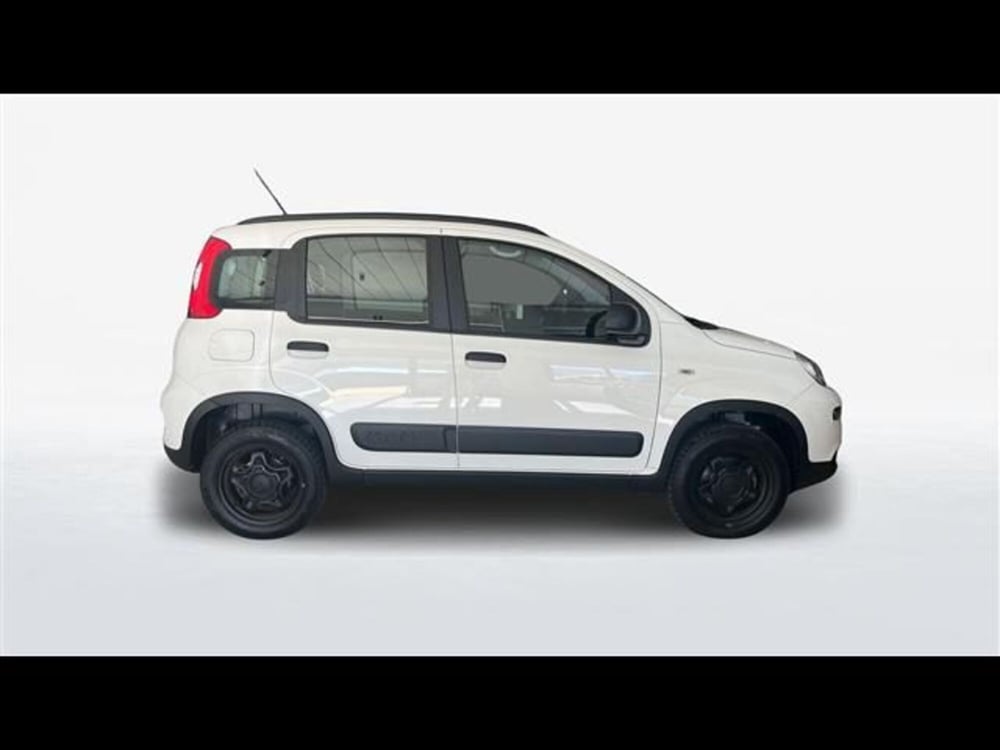 Fiat Panda usata a Firenze (4)