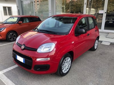 Fiat Panda 1.0 firefly hybrid Icon s&amp;s 70cv del 2025 usata a Torino