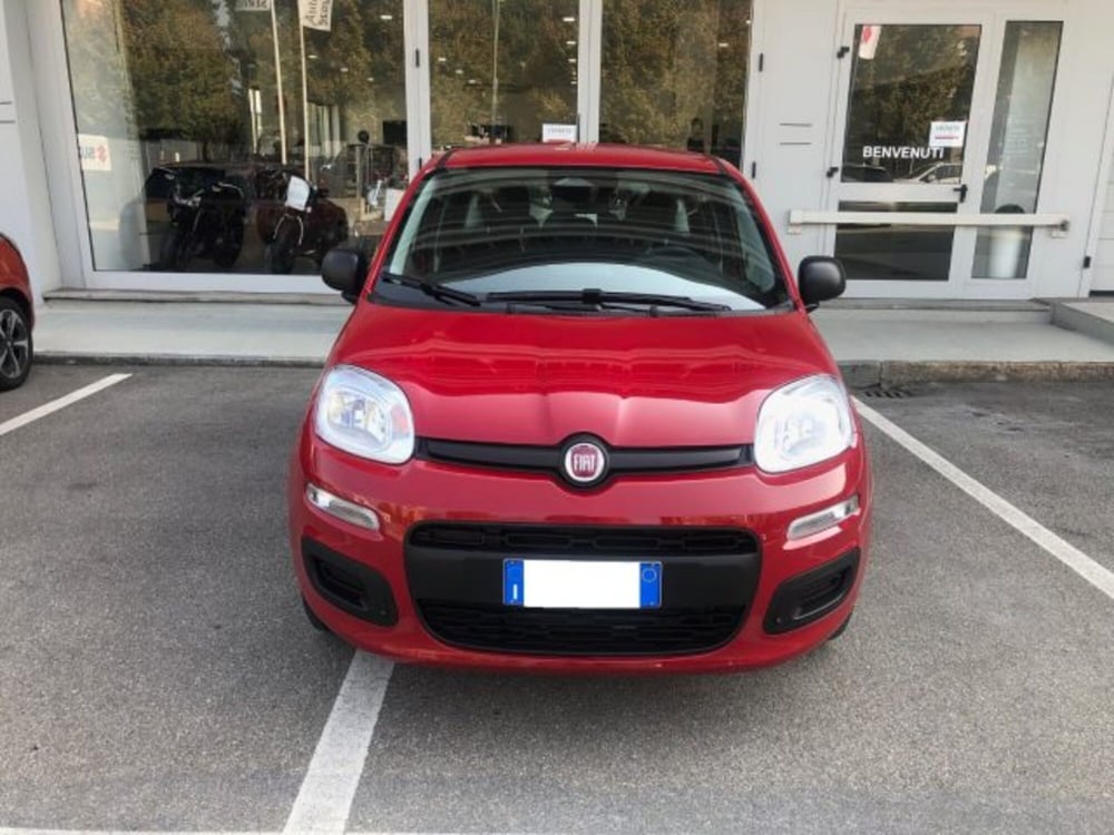Fiat Panda usata a Torino (2)
