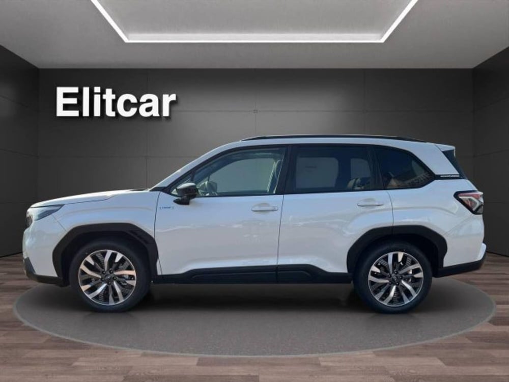 Subaru Forester nuova a Novara (2)