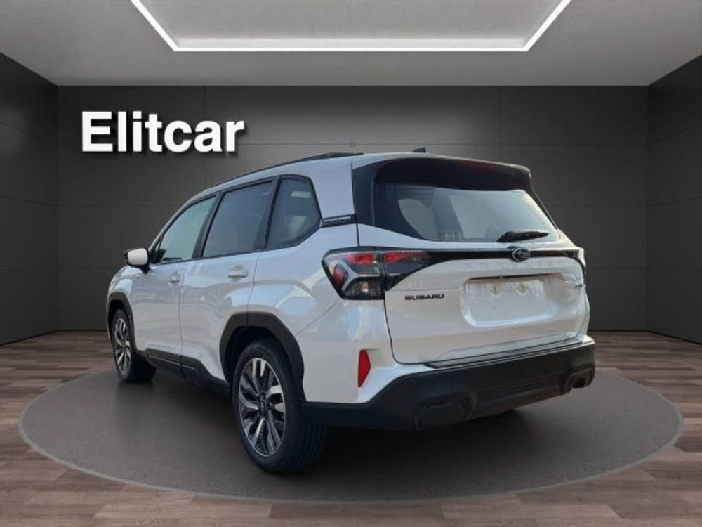 Subaru Forester nuova a Novara (3)