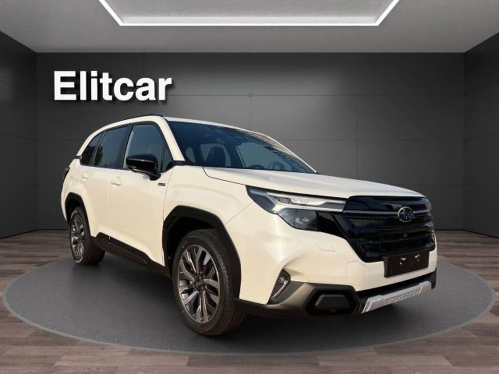 Subaru Forester nuova a Novara (7)