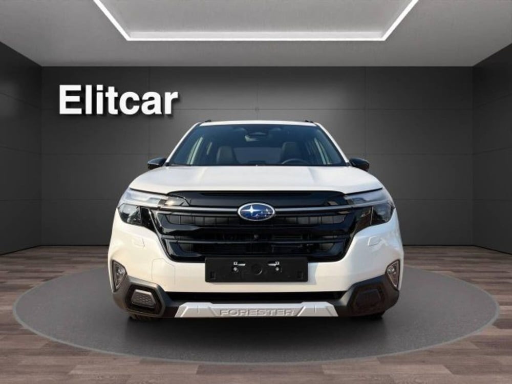 Subaru Forester nuova a Novara (8)