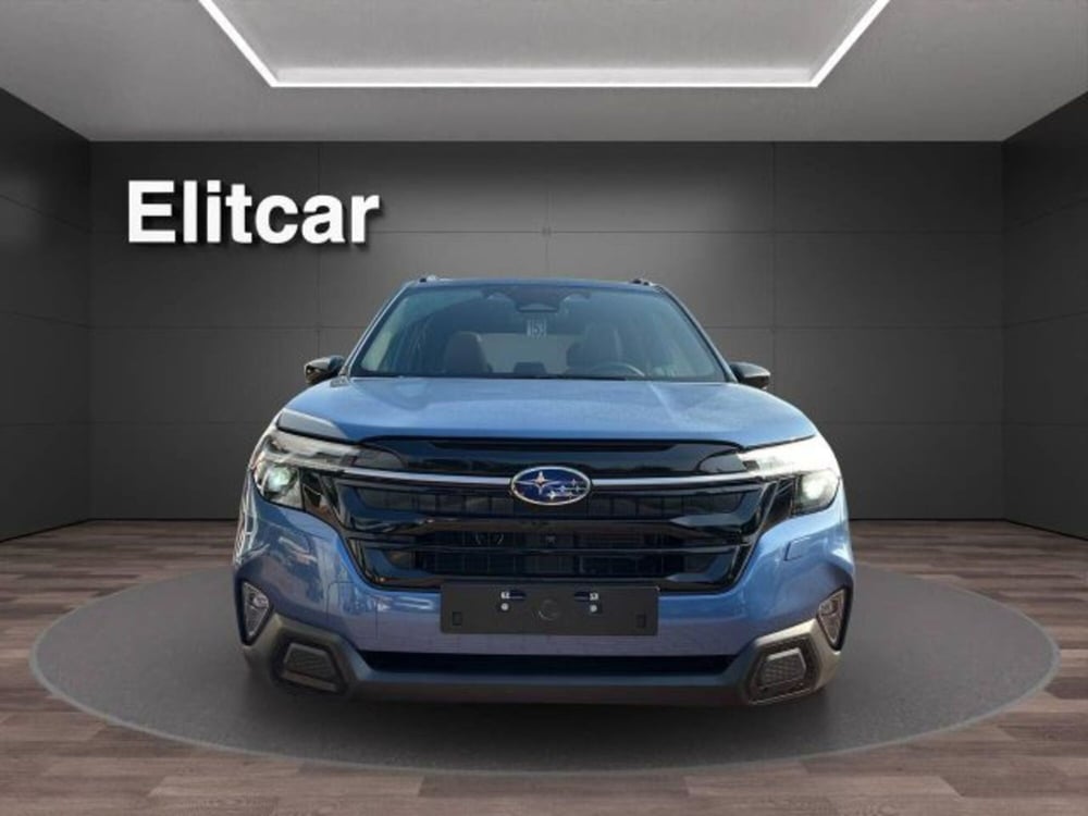 Subaru Forester nuova a Novara (8)