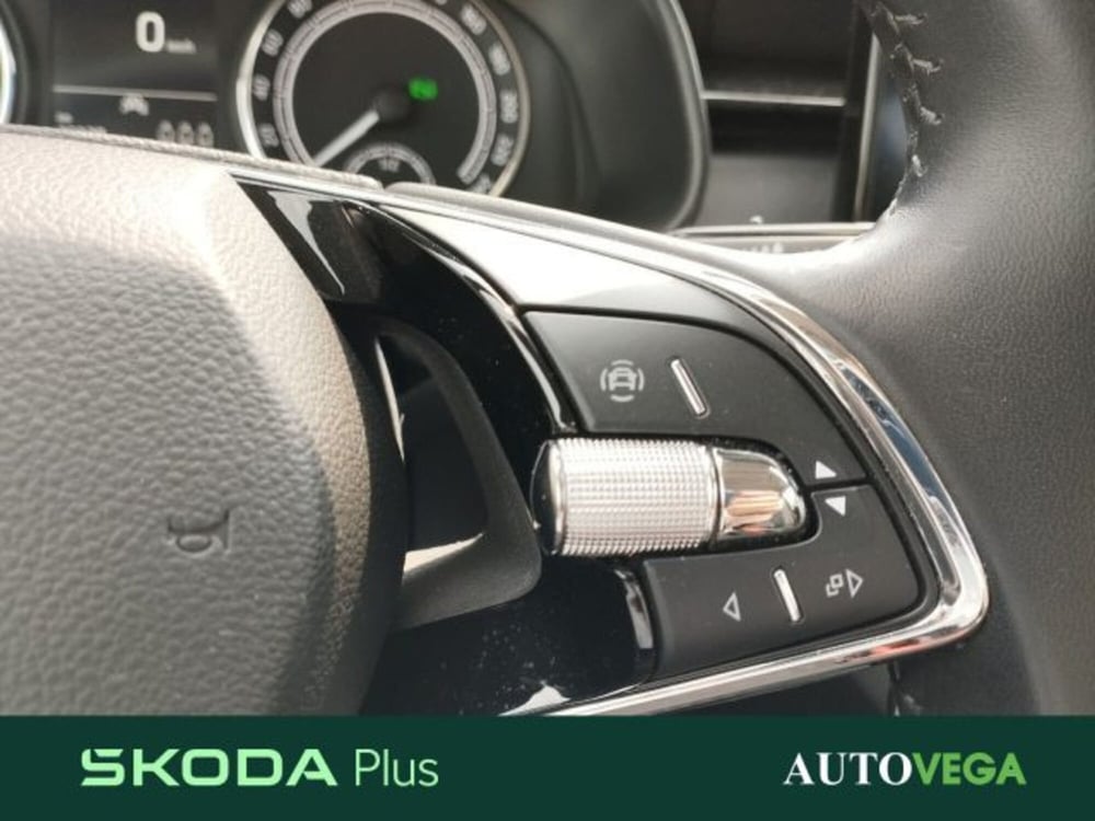Skoda Kamiq usata a Vicenza (11)