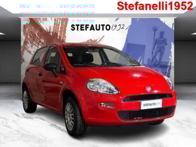 Fiat Punto 1.4 8V 5 porte Natural Power Street del 2018 usata a Bologna