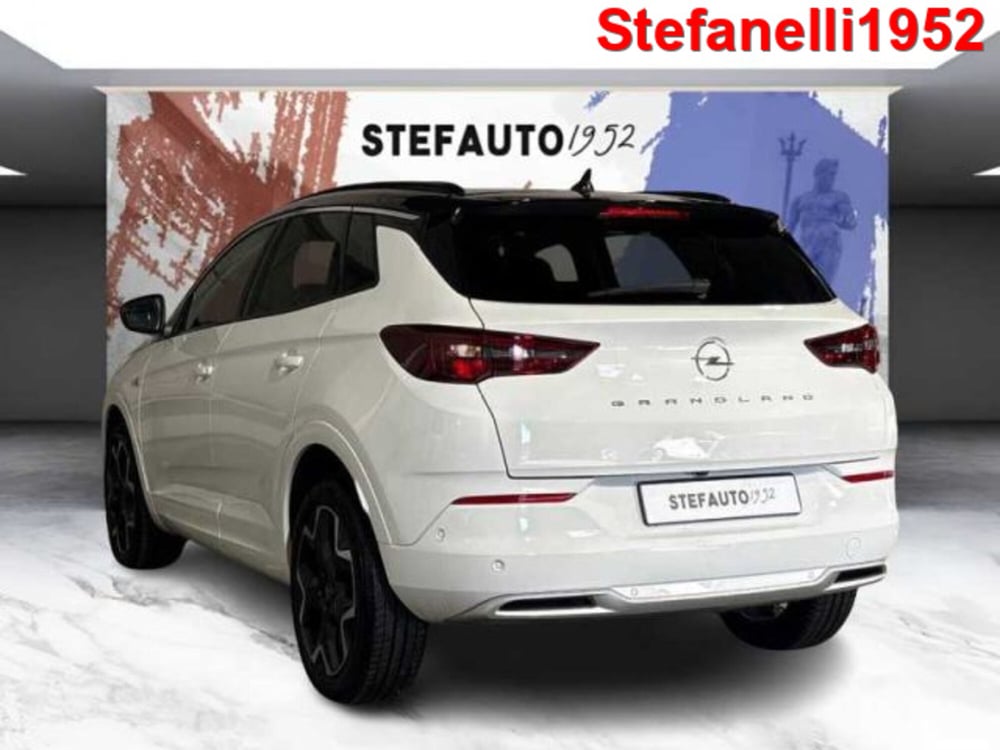 Opel Grandland usata a Bologna (5)