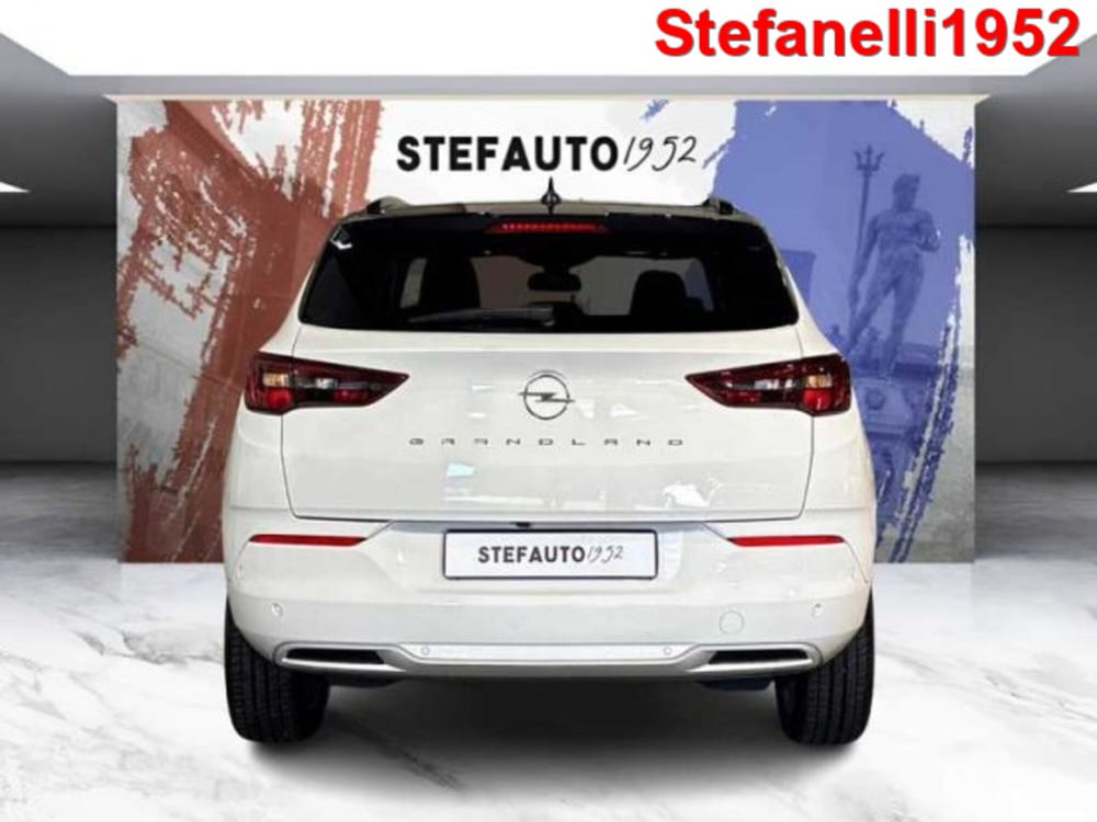 Opel Grandland usata a Bologna (6)