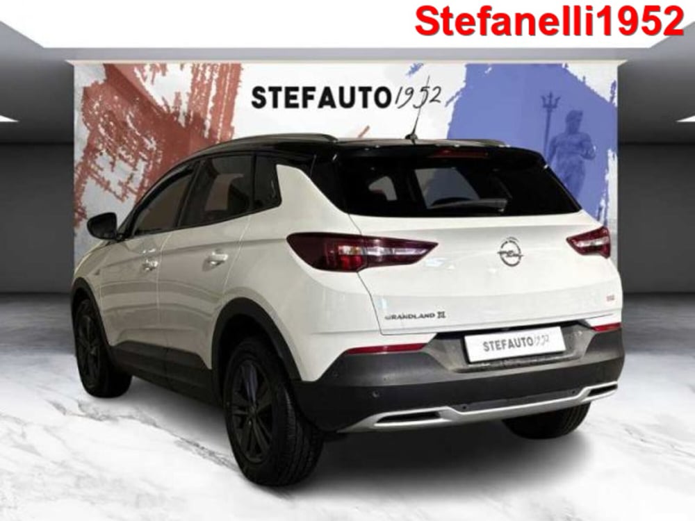 Opel Grandland X usata a Bologna (5)