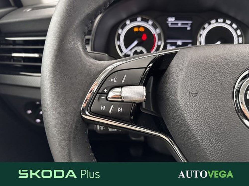 Skoda Kamiq usata a Vicenza (16)