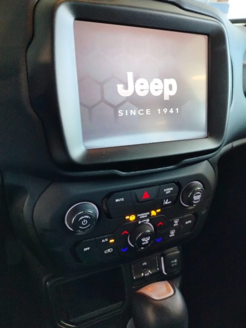 Jeep Renegade usata a Forlì-Cesena (18)