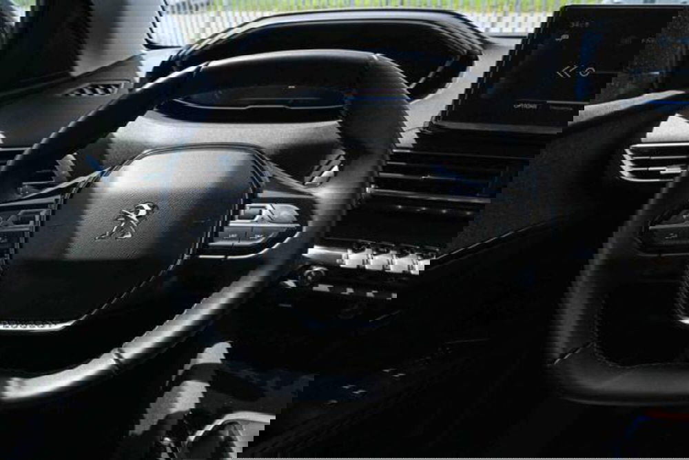 Peugeot 3008 usata a Torino (14)