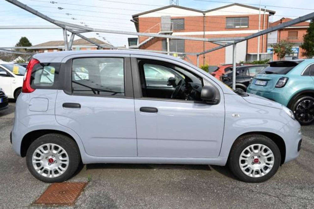 Fiat Panda usata a Torino (4)