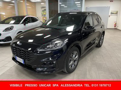 Ford Kuga 2.0 EcoBlue 120CV aut. AWD ST-Line X del 2023 usata a Alba