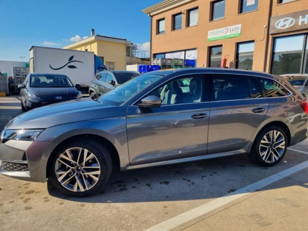 Skoda Octavia Station Wagon nuova a Pisa (20)