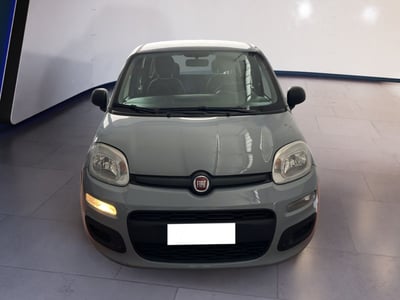 Fiat Panda 1.2 EasyPower Lounge del 2019 usata a Torino