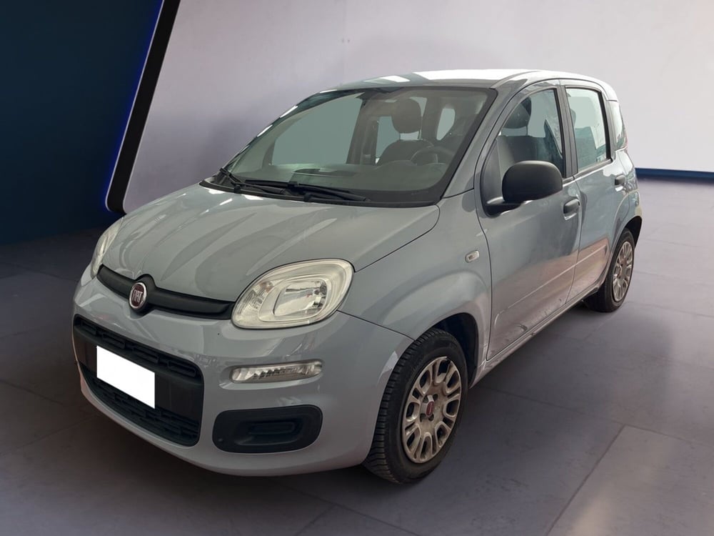 Fiat Panda usata a Torino (2)