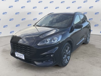 Ford Kuga 2.0 EcoBlue 120 CV aut. 2WD ST-Line X del 2023 usata a Pistoia