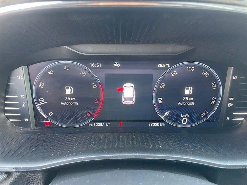 Skoda Fabia usata a Pistoia (13)