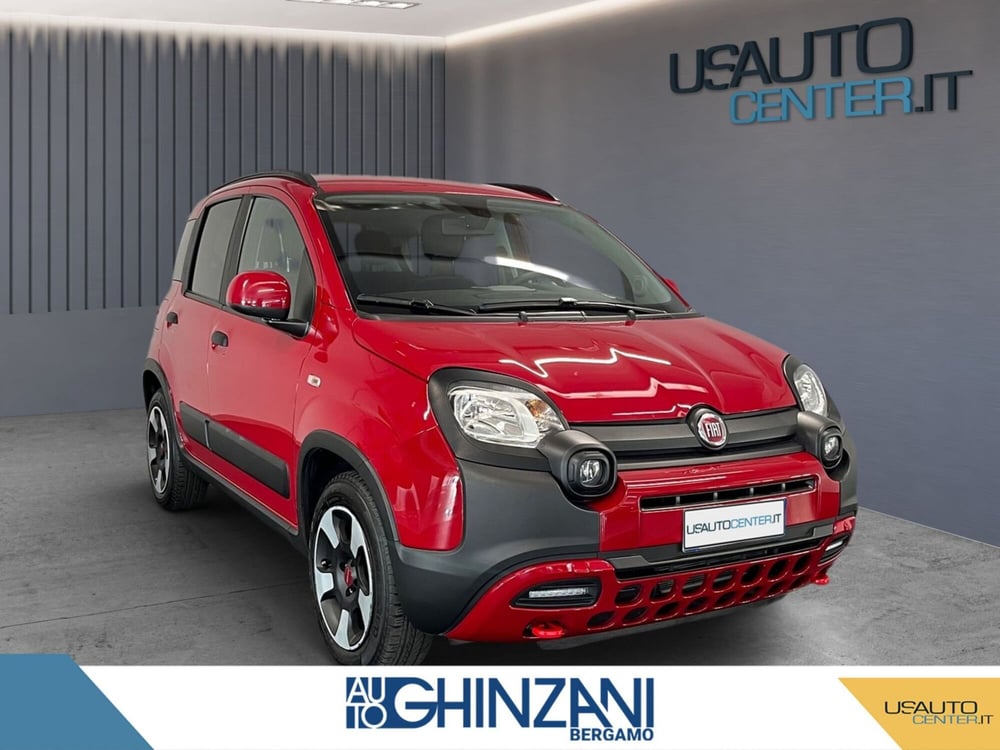 Fiat Panda Cross usata a Bergamo (2)