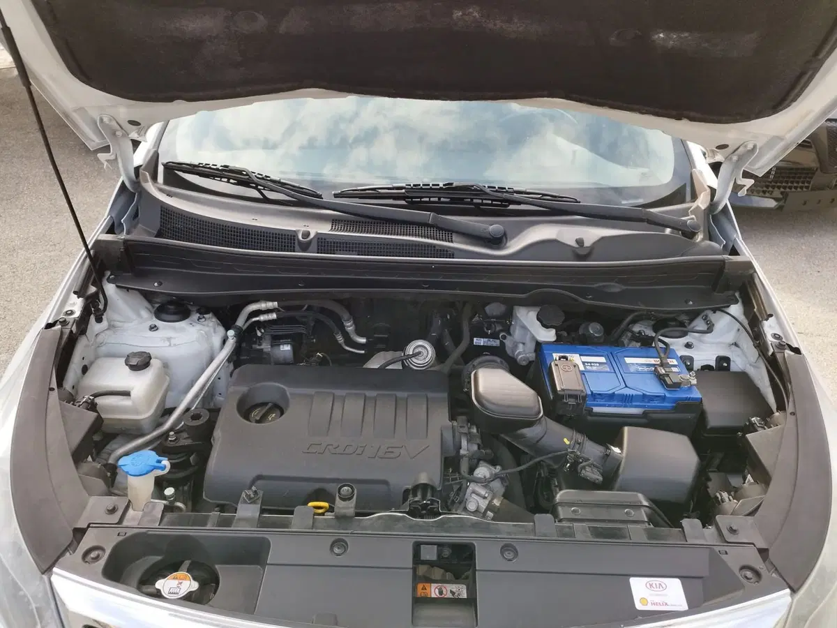 Kia Sportage usata a Reggio Emilia (14)