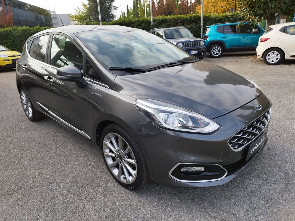 Ford Fiesta usata a Reggio Emilia (3)