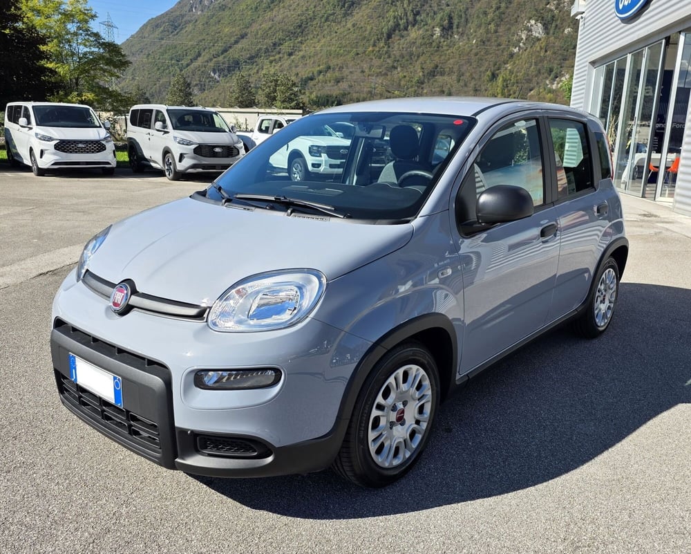 Fiat Panda Cross usata a Belluno