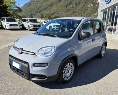 Fiat Panda Cross Cross 1.0 FireFly S&amp;S Hybrid del 2022 usata a Ponte nelle Alpi