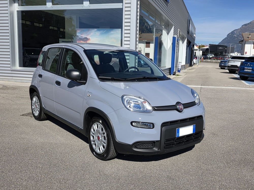 Fiat Panda Cross usata a Belluno (2)