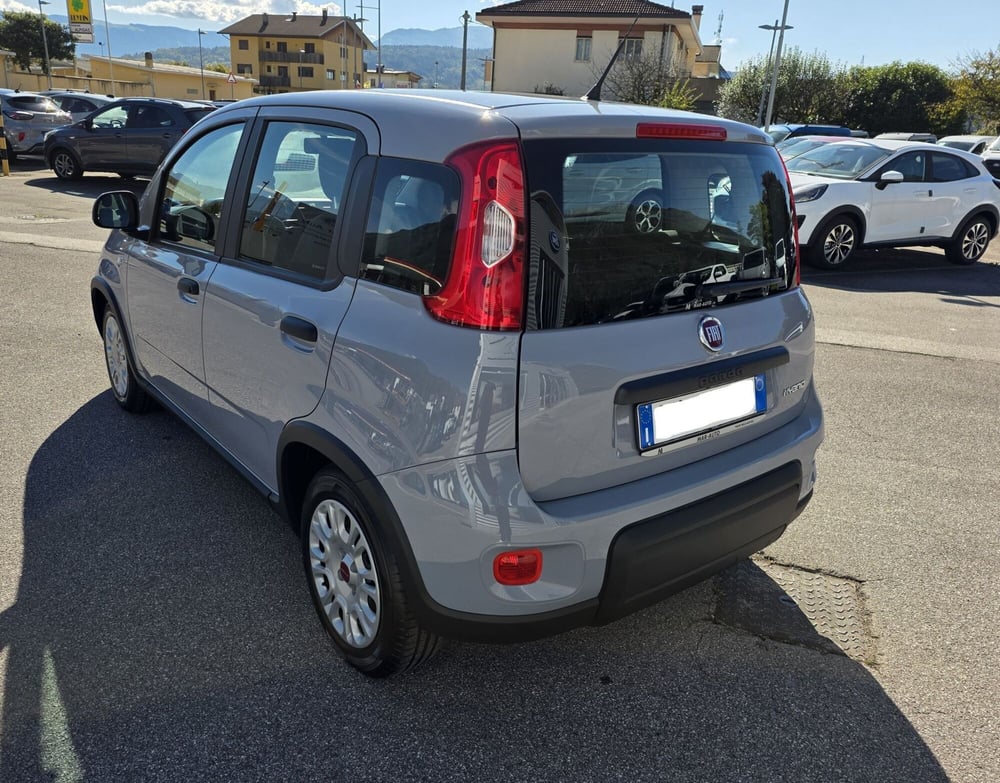 Fiat Panda Cross usata a Belluno (4)