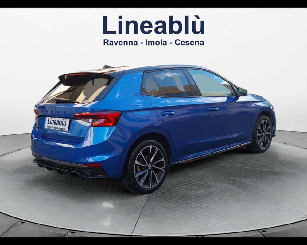 Skoda Fabia usata a Forlì-Cesena (5)