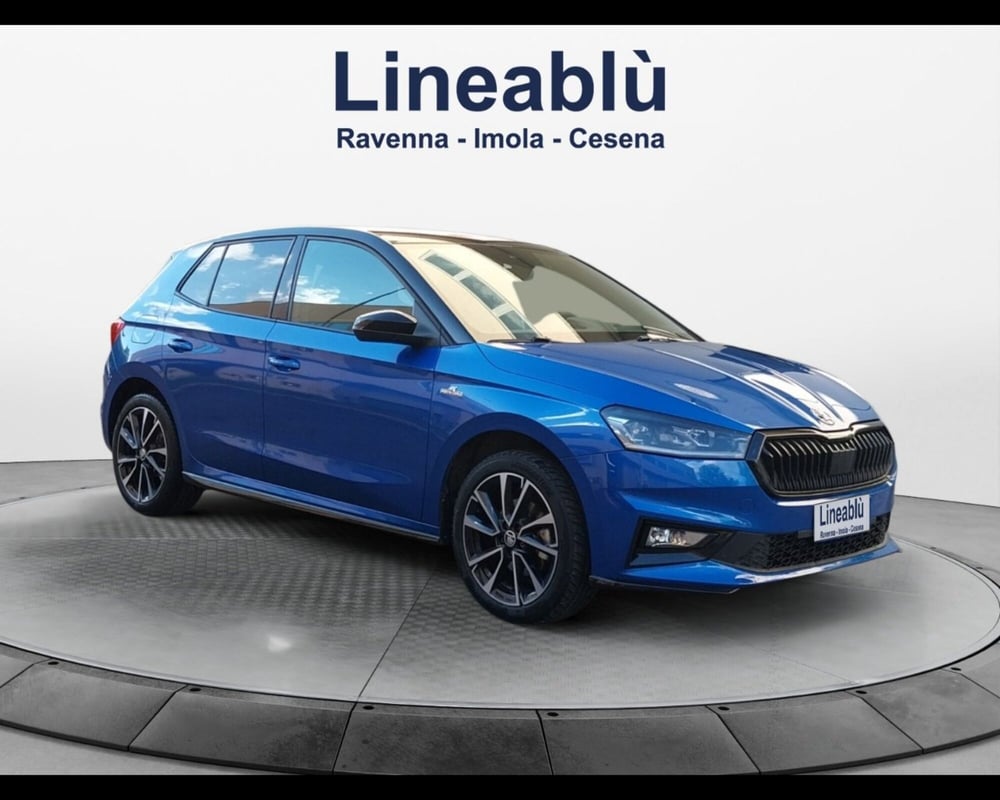 Skoda Fabia usata a Forlì-Cesena (7)