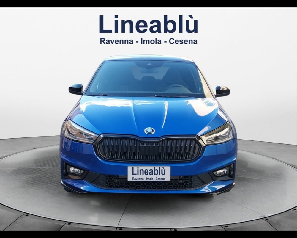 Skoda Fabia usata a Forlì-Cesena (8)