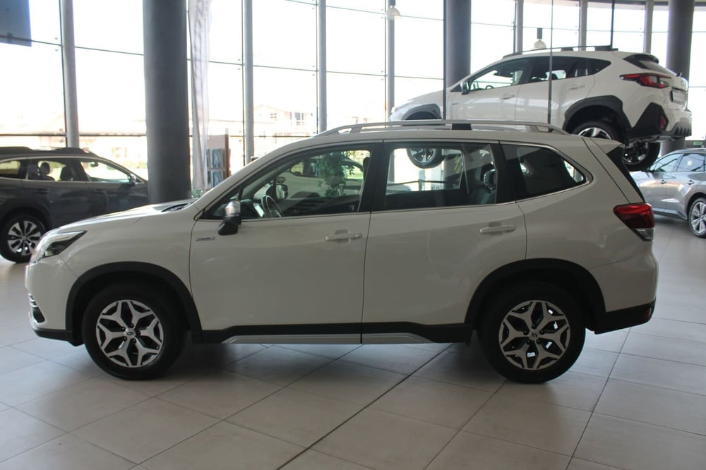 Subaru Forester usata a Cuneo (2)