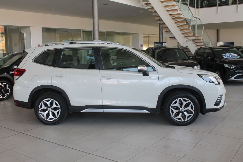 Subaru Forester usata a Cuneo (4)