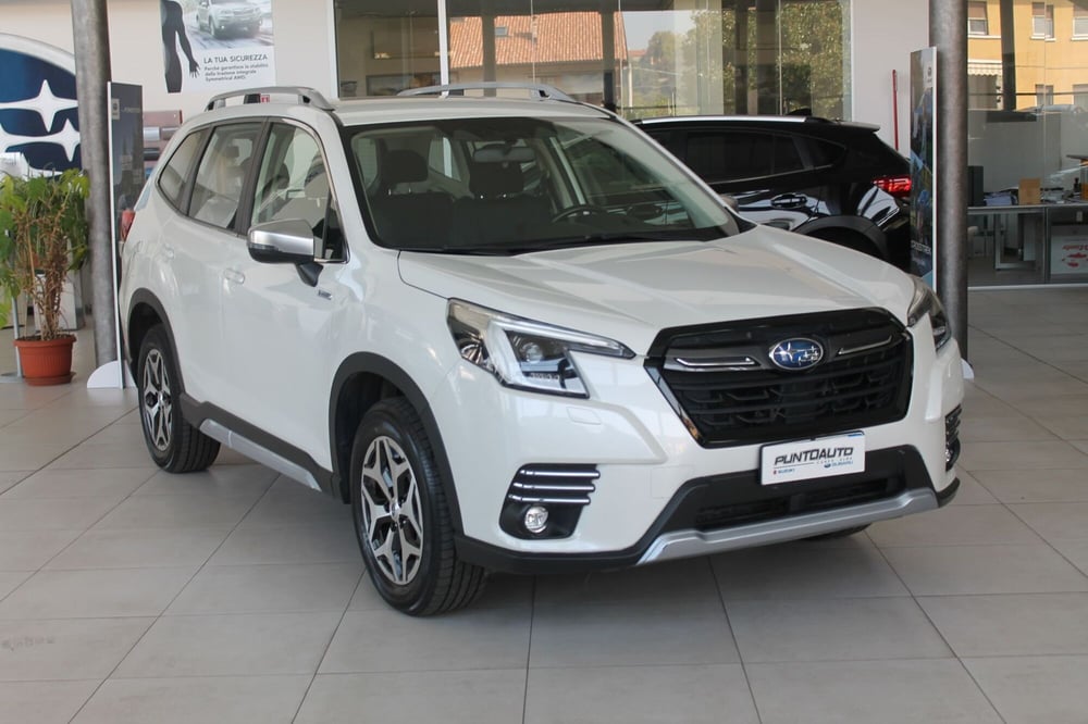 Subaru Forester usata a Cuneo (5)
