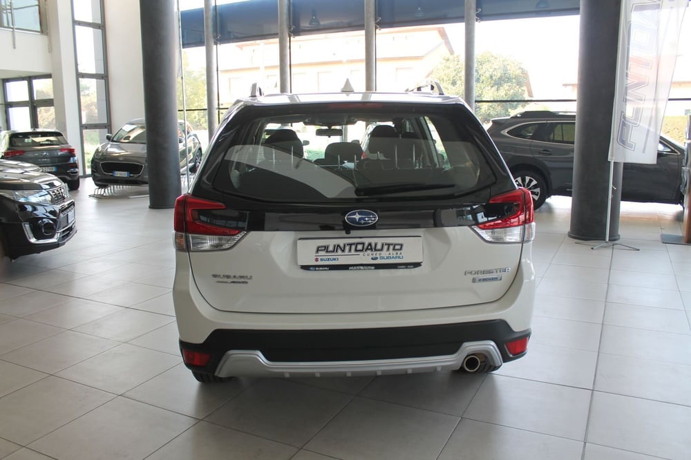 Subaru Forester usata a Cuneo (6)
