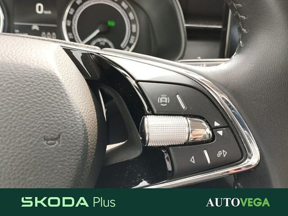 Skoda Kamiq usata a Vicenza (11)