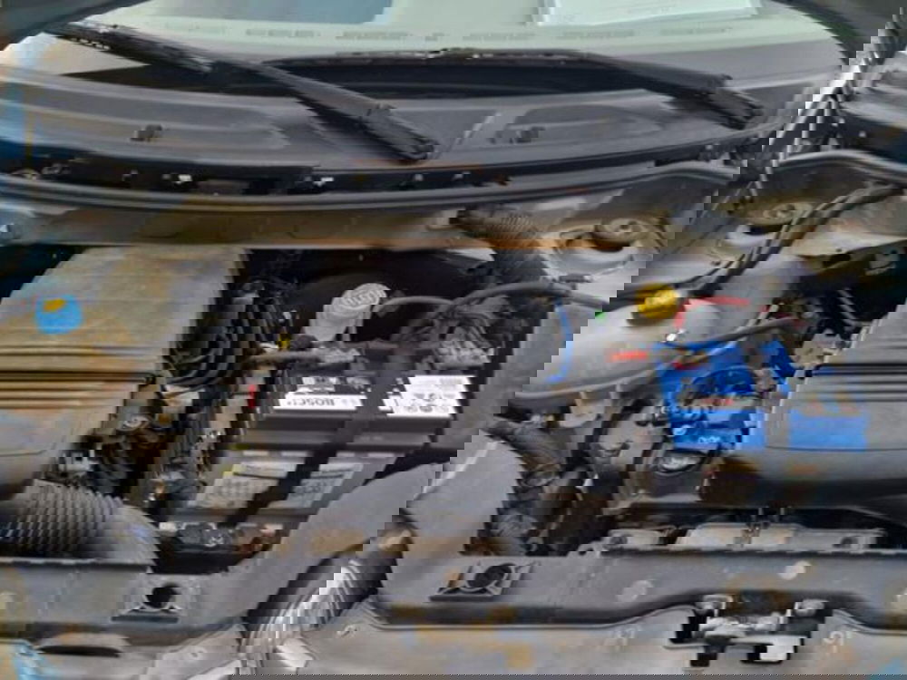 Fiat Panda usata a Salerno (19)