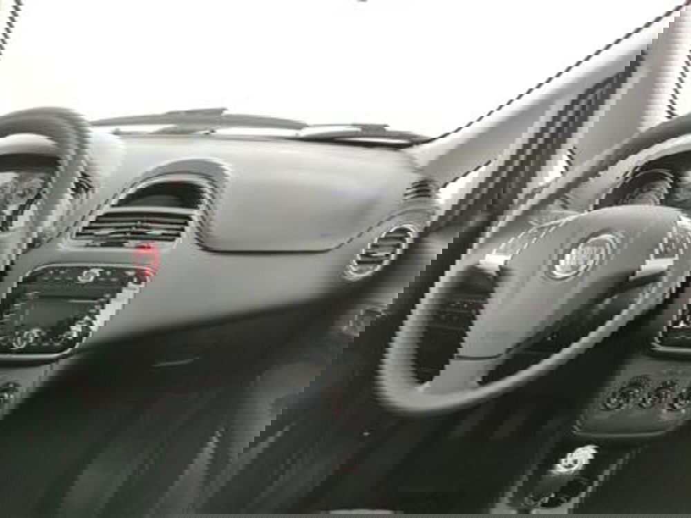 Fiat Punto usata a Bari (15)