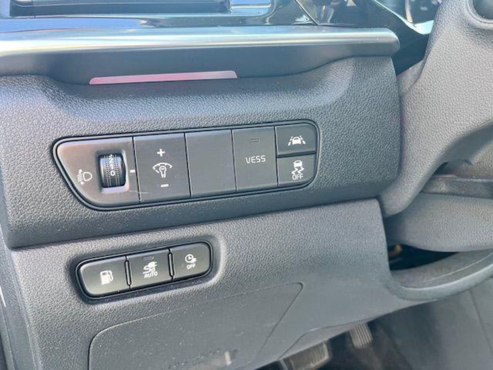 Kia Niro usata a Verbano Cusio Ossola (15)
