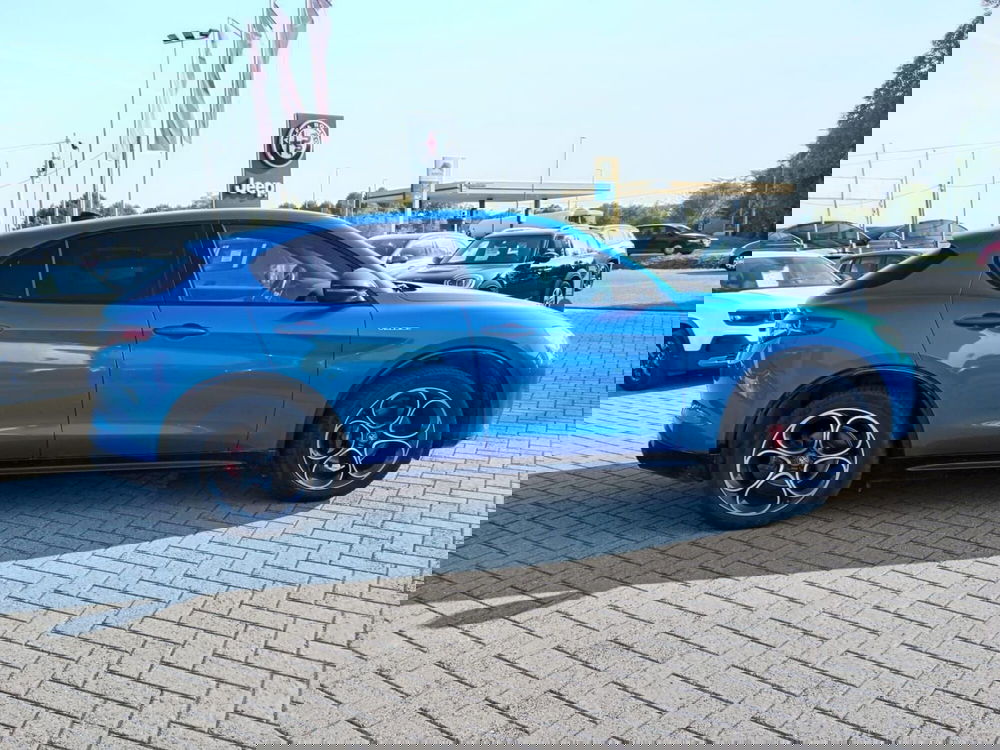 Alfa Romeo Stelvio usata a Alessandria (7)