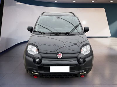 Fiat Panda Cross 1.0 firefly hybrid Cross s&amp;s 70cv 5p.ti del 2023 usata a Torino