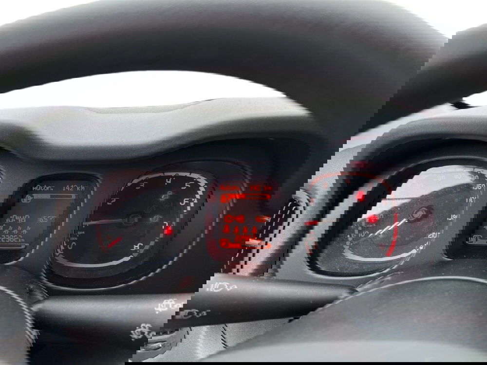 Fiat Panda Cross usata a Torino (12)