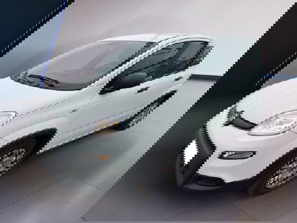 Fiat Panda usata a Torino (2)