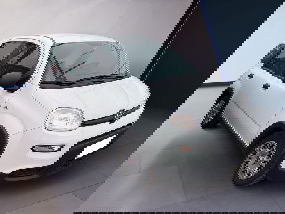 Fiat Panda usata a Torino (3)